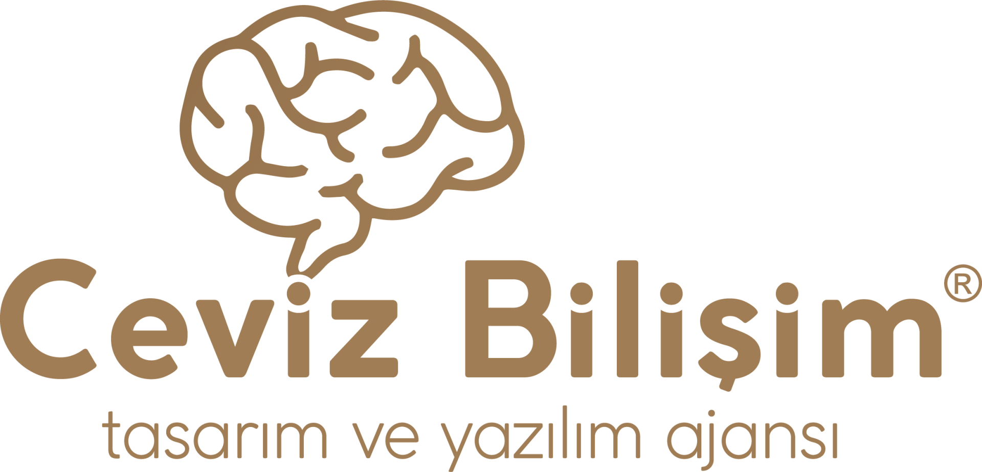 Ceviz Bilişim